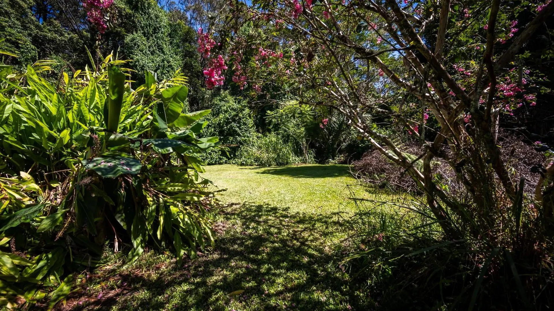 Tranquil Rainforest Studio Kuranda