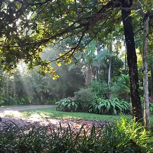  Holiday home Fanpalm Creek Hideaway