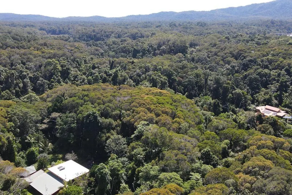 Tranquil Rainforest Studio Kuranda